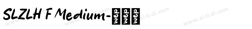 SLZLH F Medium字体转换